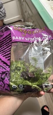 Trader Joe's Baby Spring Mix package