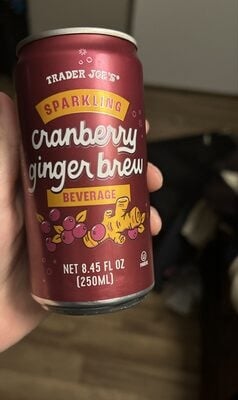 Trader Joe's Cranberry Ginger Brew packaging